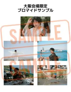 Item thumbnail for item 8af9fff4-3a81-4afe-9062-27806b9249f7
