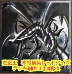 遊戯王　本格構築レッドアイズデッキ40枚＋E X15枚