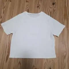 【値下げ中！】NOAHL(ノアル) クラッシュジャガードTシャツ アイボリー