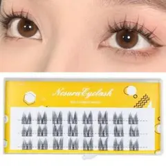 Item thumbnail for item 85241de3-c126-43bb-9e52-a5185414ca33
