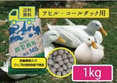 ★送料無料【アヒル・コールダック用飼料・ペレット】1kg