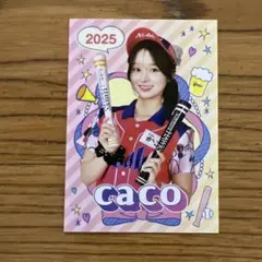 みずほpaypayドーム アサヒ 売り子カード かこさん