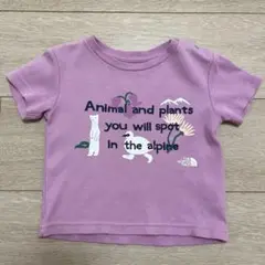 ノースフェイス Tシャツ 80サイズ