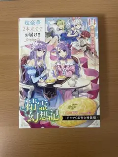 精霊幻想記 14 ドラマCD付き特装版