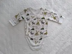 Item thumbnail for item 0ad6b601-1474-4575-b655-60cf334fb68a