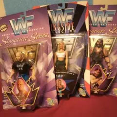 WWE フィギュア 3体セット プロレスフィギュア ストーンコールド