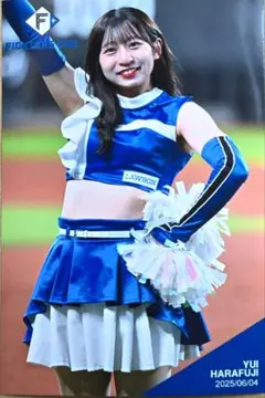ファイターズガール　原藤由衣　ハイライトフォト2025　6/4　新品　ゆいゆい