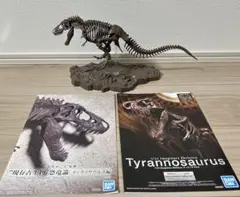 Item thumbnail for item 1149a626-47bd-4f67-8067-24dc86984963