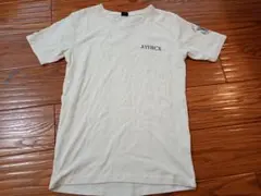 AVIREX ホワイト Tシャツ