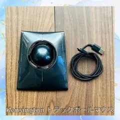 Item thumbnail for item d4bbeeec-b368-4d11-953a-cebbeb0677b8