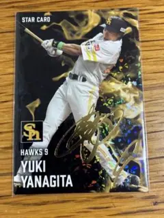 Item thumbnail for item 7b3c79d3-9403-4fae-9abe-3fbf7c8ec080