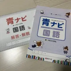 【未使用】青ナビ 国語 解答・解説付き