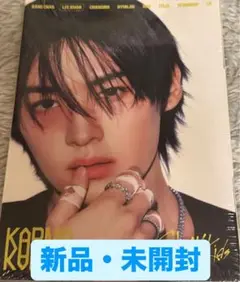 stray kids straykids 新品未開封 KARMA リノ