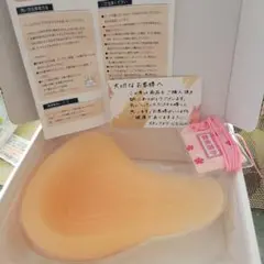 Item thumbnail for item 5bc632f0-2ea2-42cb-820f-c8f7fe02982a