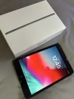 iPad mini 第5世代 64GB スペースグレー