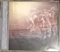 Boy in Static Violet CD