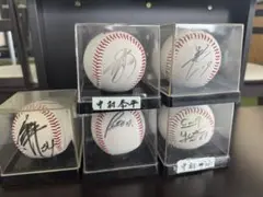 CARP 広島カープ　サイン入り野球ボール5個セット