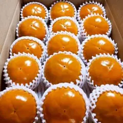 【大玉】福岡県産ブランド富有柿4.5kg(家庭用)