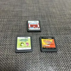 ニンテンドーDS ゲーム3本セット