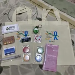 大阪関西万博　わたしとみらい、つながるサイエンス展　缶バッジ　ワッセ