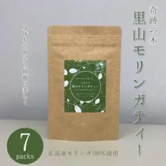 Item thumbnail for item 2e45bcd9-b850-4445-a1e4-4dcf1d822429