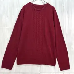 ELLE エル　ケーブル編み薄手ニット　ボールド　40 / L