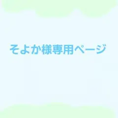 専用