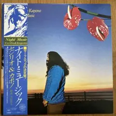 LP/CECILIO & KAPONO / NIGHT MUSIC AOR名盤