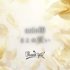 axle様　リクエスト品　確認下さい