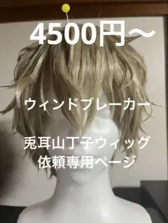 2025年最新】兎耳山丁子 コスプレの人気アイテム - メルカリ
