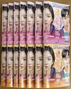 韓国ドラマ 魔女の法廷 DVD全巻セット(1〜14巻)