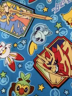 ポケモン　布　端切れ　30✖️100 水色