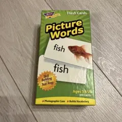 Picture Words フラッシュカード 96枚