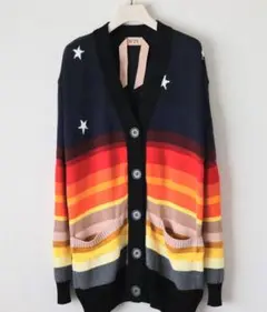 176,000円新品【N°21 】豪華夕ぐれ刺繍 カーディガン 36(大きめ)