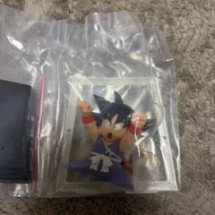 Item thumbnail for item a07c0294-0316-4deb-9a87-d74d3ee35ce4