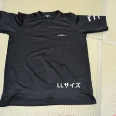 メンズTシャツケイパシャツ