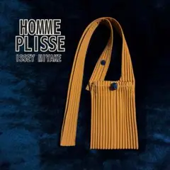 2025年最新】HOMME PLISSE ISSEY MIYAKE バッグの人気アイテム