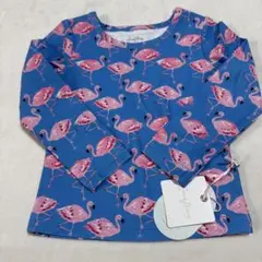 Item thumbnail for item b5f46617-c9e5-4bcb-bd50-99fa760e62e6