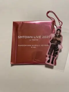 SMTOWN 2025 アクキー　ロンジュン