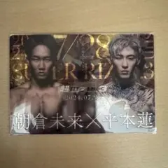 RIZIN ポテトスティック　No.27