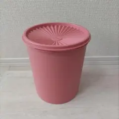 2025年最新】タッパーウェア グランプリデコレーターギフトの