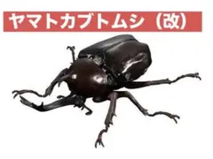 ヤマトカブトムシ(改)【いきもの大図鑑かぶとむし04】