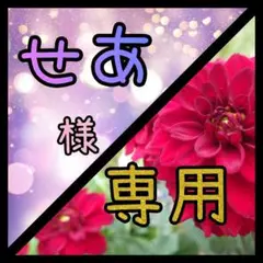 せあ様 リクエスト 2点 まとめ商品