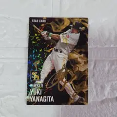 プロ野球チップス カード 柳田悠岐