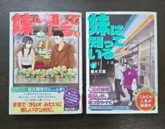 雁木万里　妹は知っている　第2～最新刊3巻　2冊セット