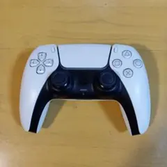 Item thumbnail for item d0202d81-1c06-4239-ab64-85c29a21460b