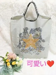 とっても丈夫❣️dとってもお洒落❣️星の刺繍 ナイロンショルダーバッグ グレー