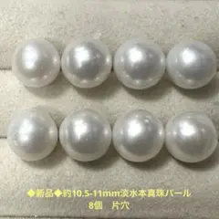 Item thumbnail for item c2937f2f-ef77-455f-9778-b1f3ad53c6c7