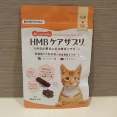 26.10 HMB ケアサプリ 筋トレにゃんにゃん 28g（約25個）　猫