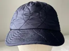 Item thumbnail for item 5fd768ee-7aef-462a-81e7-c6cb344f3c00